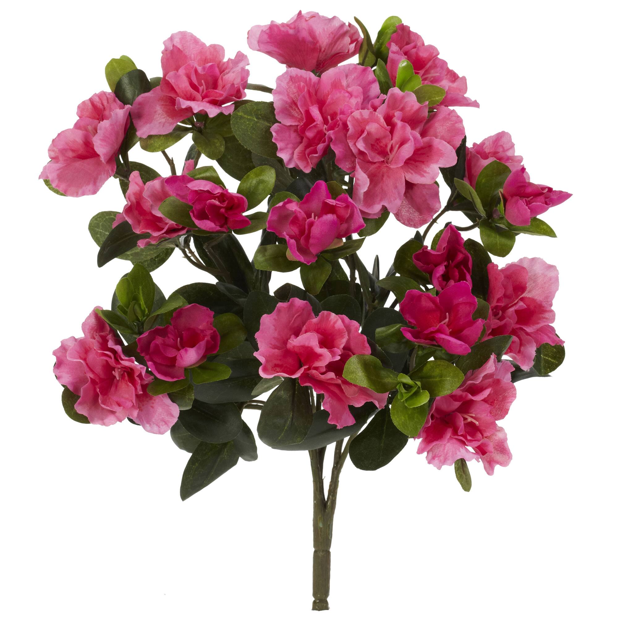 Pink Azalea Bush, 4ct.